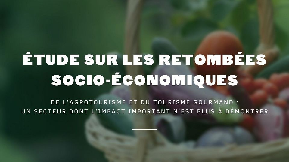 TERROIR ET SAVEURS Étude sur les retombées socio économiques